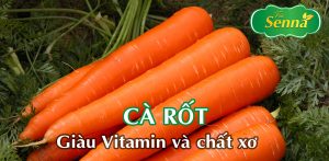 Cà rốt giàu vitamin và chất xơ